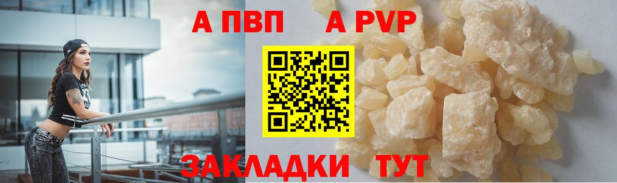 Альфа ПВП СК Выборг