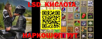 гидропоника Аргун