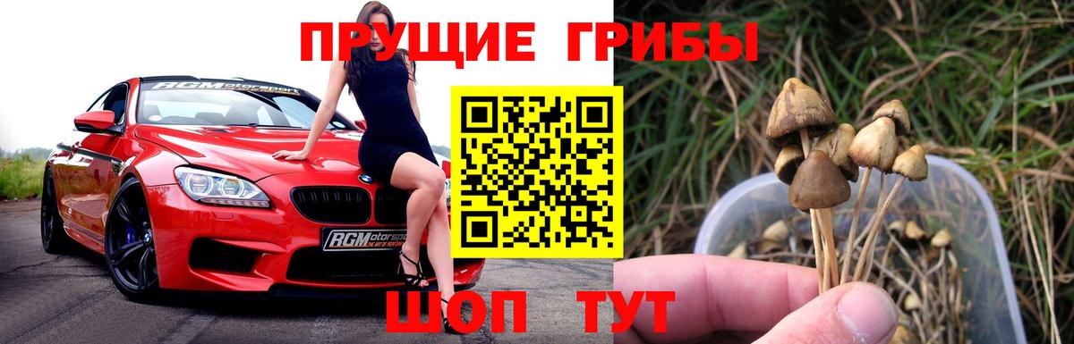 Галлюциногенные грибы ЛСД  цены наркотик  Выборг  Вход с VPN 